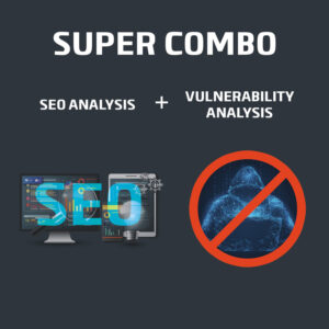 SEO and Vulnerability Analysis